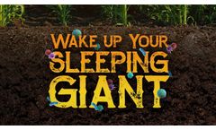 Is Your Soil Sleeping on the Job? | Wake Up Your Sleeping Giant: Soil Microbes - Video