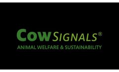 Promo CowSignals - Video