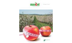 MaxCel Cylex - Plant Growth Regulator - Brochure