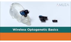 Teleopto Wireless Optogenetics System Introduction - Video