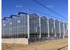 Commercial Glass Greenhouse