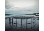OptoScale - Seamless and Integrated Solution for Fish Farming