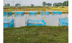 Irrigation Ditch/Pond System