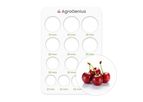 AgroGenius - Cherry Sizing Card