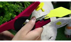 79mm*56mm cattle cow ear tag with tag plier/applicator - Video
