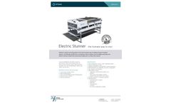 Electric Stunner - Brochure