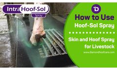 Intra Hoof-Sol Spray to maintain and support healthy hooves and skin - Video