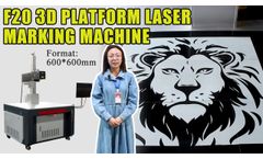 Newly developed large format F20 3D flatbed laser marking machine - Video