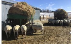 Sheep Hay Feeders