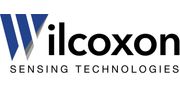 Wilcoxon Sensing Technologies