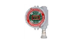 Stand Alone Explosion Proof Transmitter