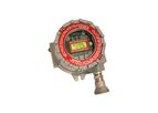 Model M2 Series  - Stand Alone Explosion Proof Transmitter
