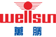 Zhejiang Wellsun Intelligent Technology Co., Ltd