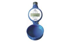 Wellsun - Digital Rotary Dry Remote Cold Water Meter
