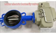 wafer electric butterfly valve China factory price - Video