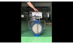 Inflatable seat pneumatic butterfly valve - Video