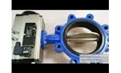 lug butterfly valves china factory price - Video