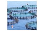 Kuzeyboru - Fish Farming Aquaculture Pe Pipes