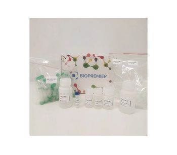 Biopremier - Model BIOPEXT-0619.50 - Microbial DNA Extraction Kit - Bead beating