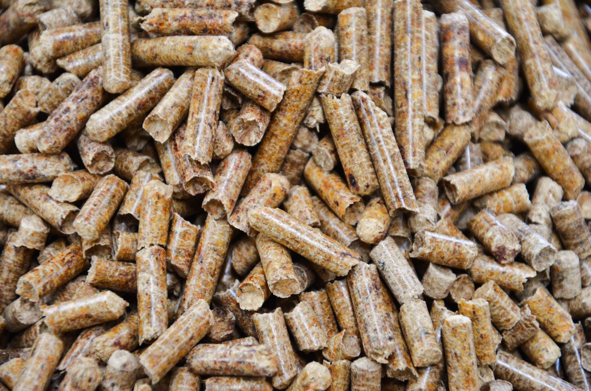 Pellet India - Servoday Plants & Equipments Limited