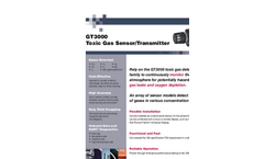 GT3000 Toxic Gas Detector Brochure