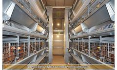 Livi - H-Type Layer Battery Cage System