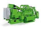 Model Type 2  - Gas Engine Generators