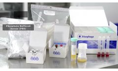 Bluephage BP 1601 Somatic coliphage enumeration Advanced kit, according to ISO 10705-2 method - Video