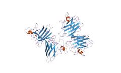 LifeTein - Superoxide Dismutase