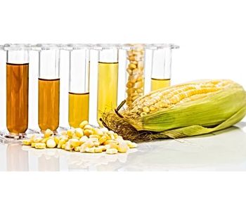 Saola - Enzymatic Biodiesel Technology