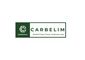 Carbelim Box: Revolutionizing Large-Scale Carbon Capture