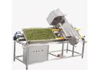 Fengxiang - Model DY-I - Automatic Bean Sprouts Root Removing Cutting Machine