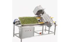 Fengxiang - Model DY-I - Automatic Bean Sprouts Root Removing Cutting Machine