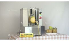 FXP-66s automatic melon papaya pumpkin peeling machine pineapple peeler machine - Video