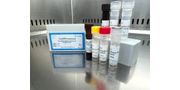 Acinetobacter Baumannii Detection Kits