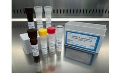 Candidatus Mycoplasma Haematoparvum Detection Kits