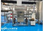 BORUN - Model 6000Liters/H - 6 Ton/Hour Pure Water Treatment System For Borehole