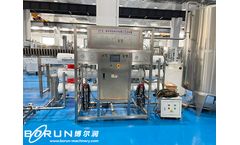 BORUN - Model 6000Liters/H - 6 Ton/Hour Pure Water Treatment System For Borehole