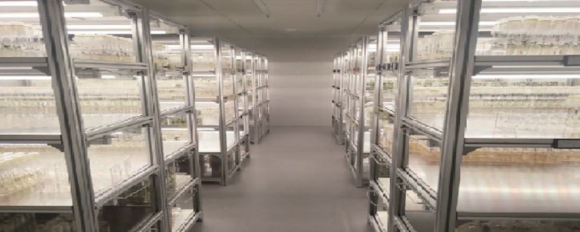 Tissue Culture Rooms By Jiayan (Beijing) Environmental ...