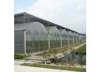 Kunsheng - Multi-Span Greenhouse