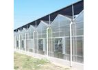 Kunsheng - Polycarbonate Panel Greenhouse