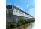 Kunsheng - Agricultural Glass Greenhouses