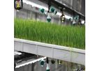 Kunsheng - Hydroponic Fodder Container Farm