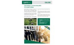 Safesil Challenge - Salt-based Ensiling Additive Contains - Brochure