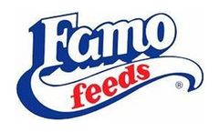 Famo Feed - Swine Nutrition Program