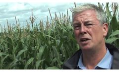 Top Tips For Better Maize Silage - Video