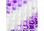 Model CustomCells - Cell Culture Products