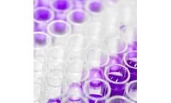 Model CustomCells - Cell Culture Products