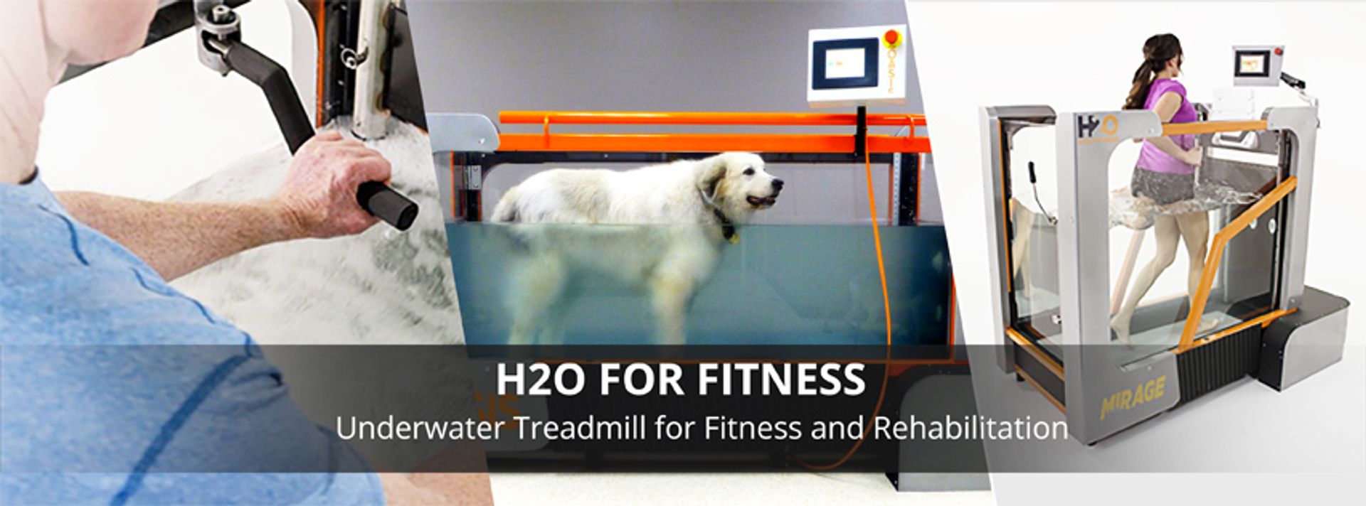 PRO Canine Oasis Canine Underwater Treadmill By H2O For Fitness