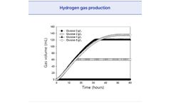 Hydrogen gas production